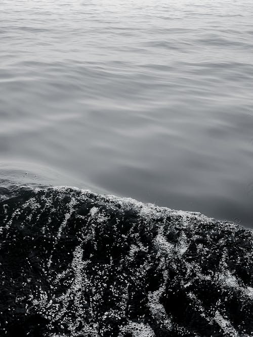 Darmowe zdjęcie z galerii z ciemna woda, czarna woda, czarno-biały