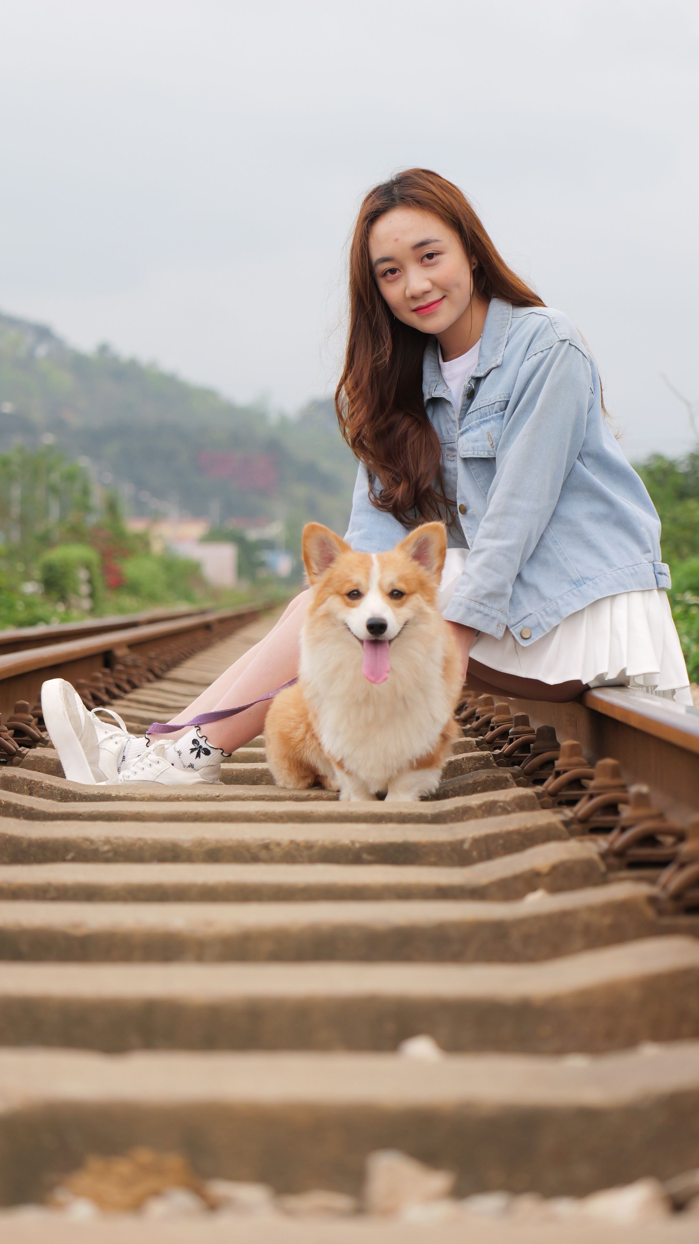 免费 一名女子与一只柯基犬坐在铁轨上 素材图片