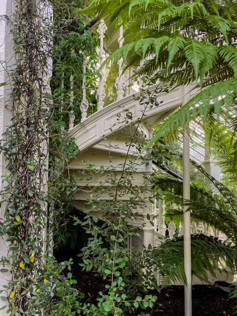Victorian spiral staircase surrounded by lush ferns in London's botanical garden