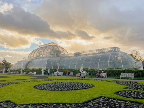 Ingyenes stockfotó kew, kew kertek, London témában