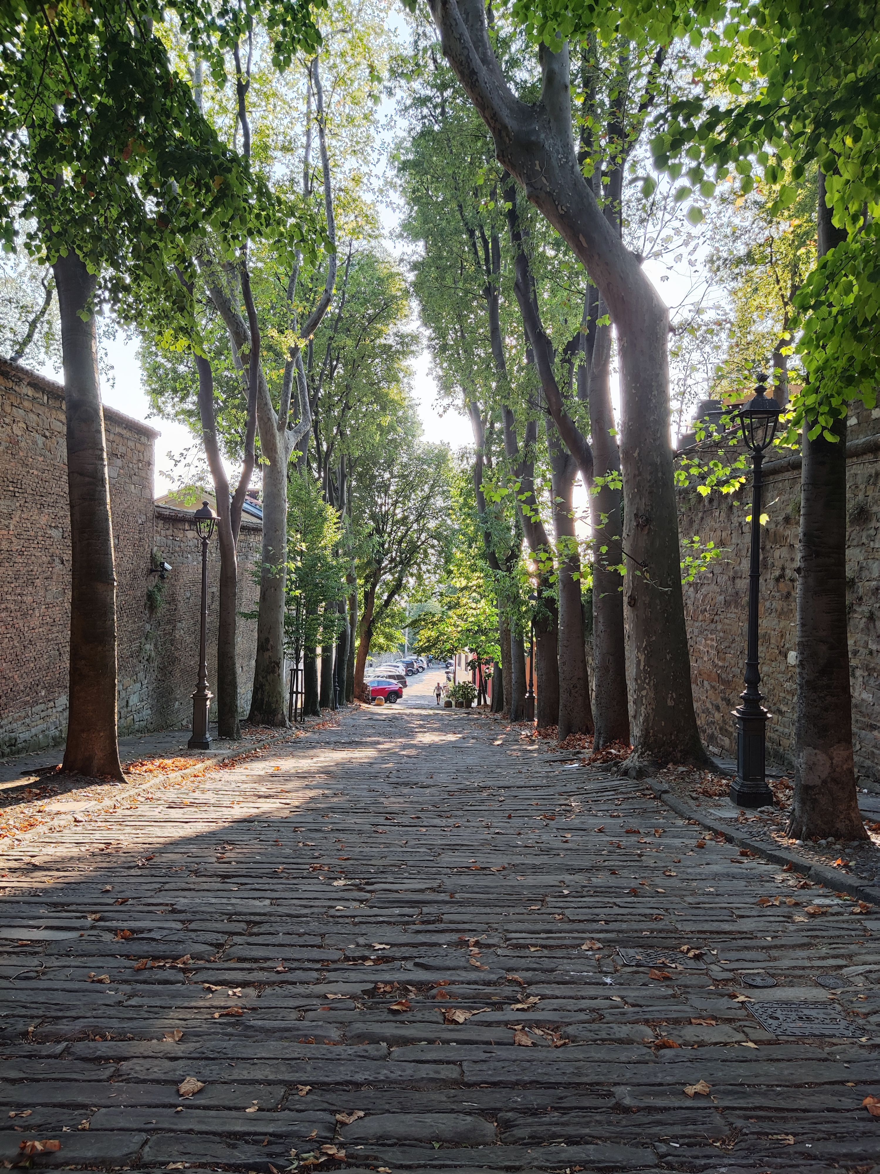 Charming cobblestone walkway lined with trees in Trieste, Italy.