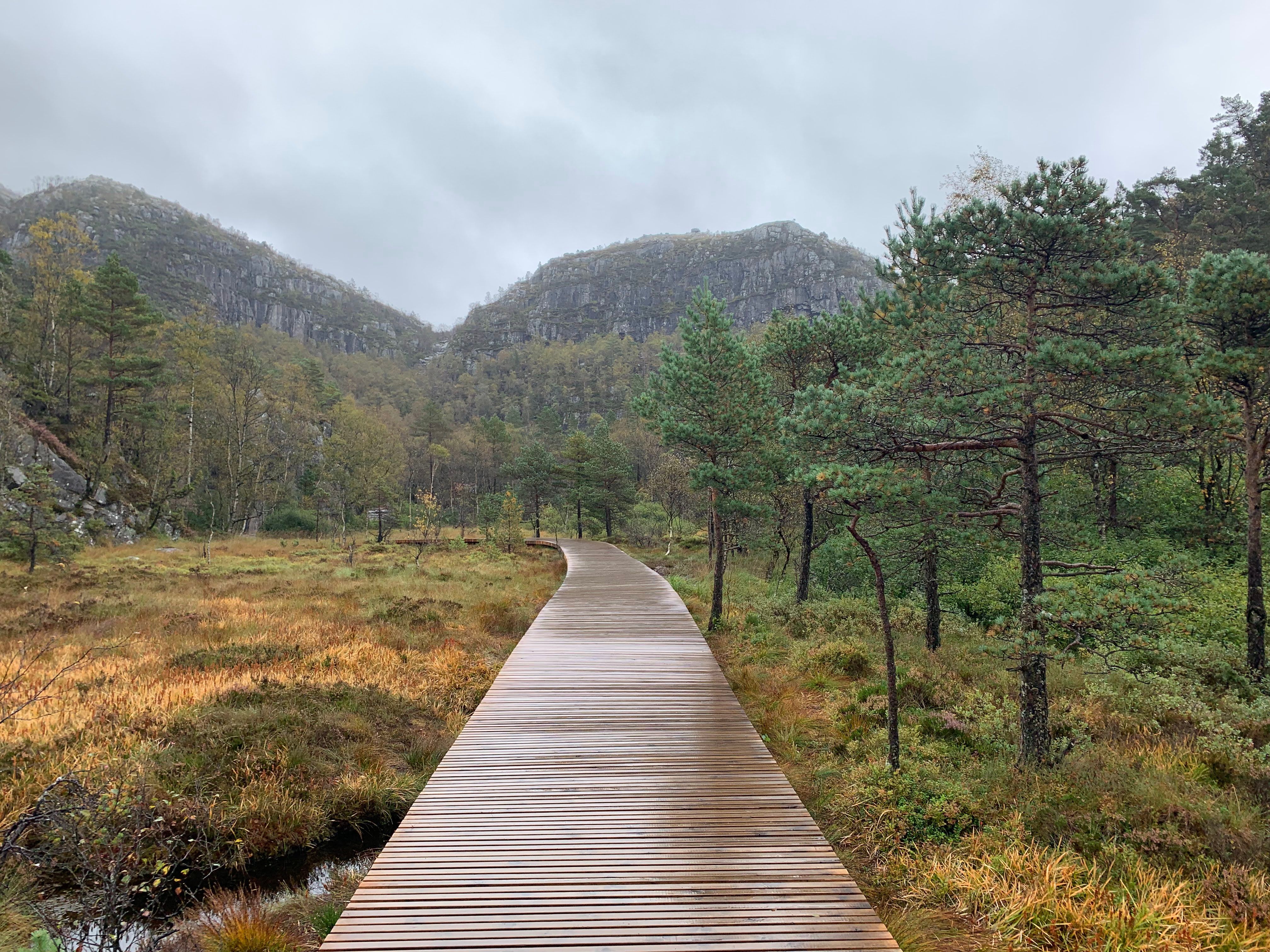 Wooden walking path through natural landscape