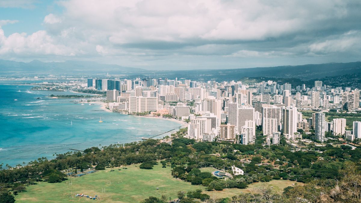 Best Pet Product Giveaways in Honolulu, HI: 2026 Local Guide
