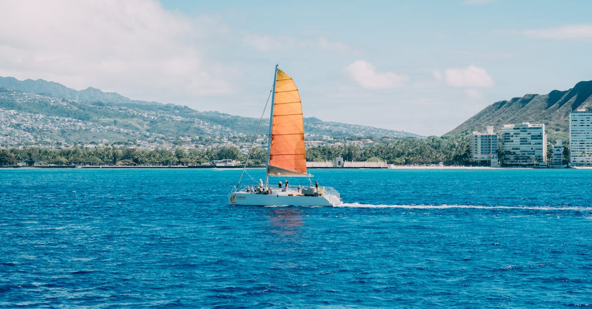 A vibrant catamaran with an orange sail sails near the coast of Honolulu, Hawaii.