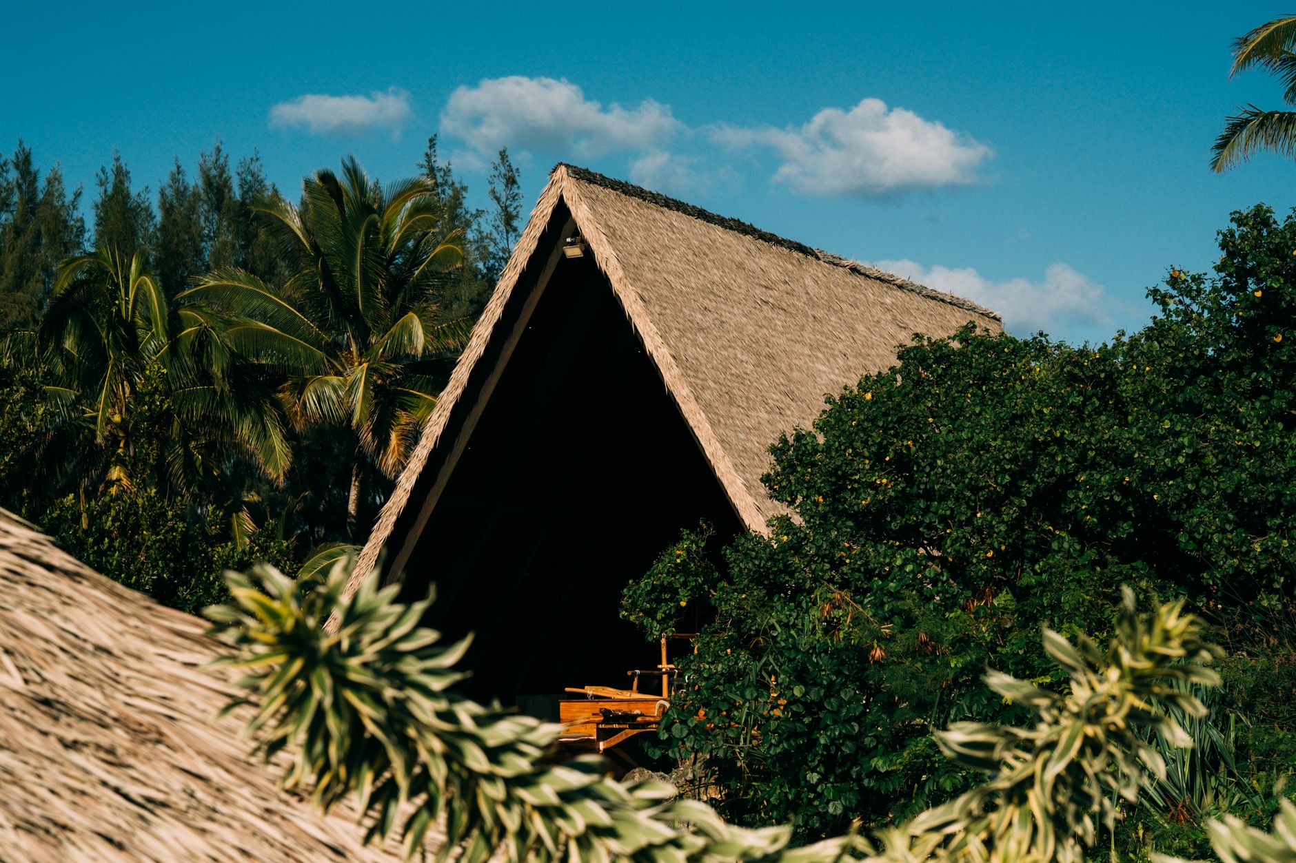 A serene thatch-roof house nestled in a tropical forest surrounded by lush greenery.