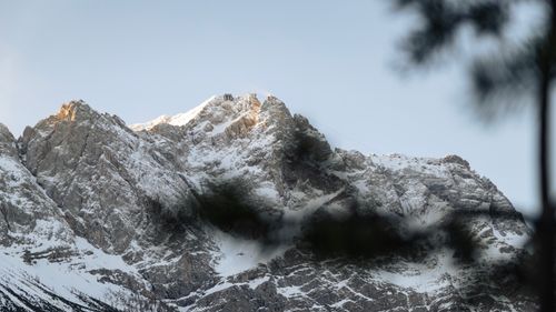 Free Breathtaking view of Zugspitze's snow-covered peak framed by pine silhouettes, capturing winter serenity. Stock Photo