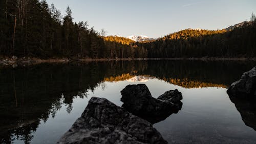 ağaçlar, akşam karanlığı, alp içeren Ücretsiz stok fotoğraf