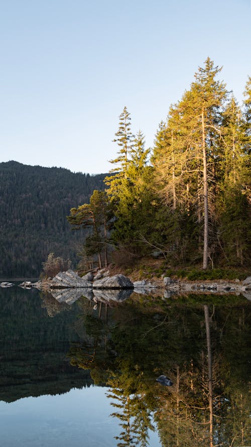 A lake with trees and water in the background