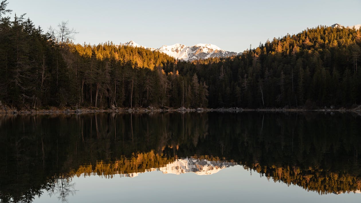 Fotobanka s bezplatnými fotkami na tému hora, ihličnany, jazero