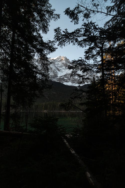 A mountain is seen through the trees near a lake