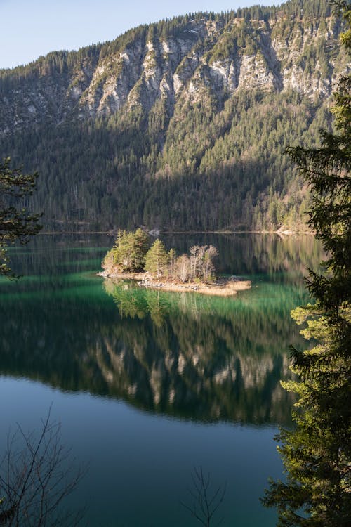 Trees on Small Island in Middle of Lake