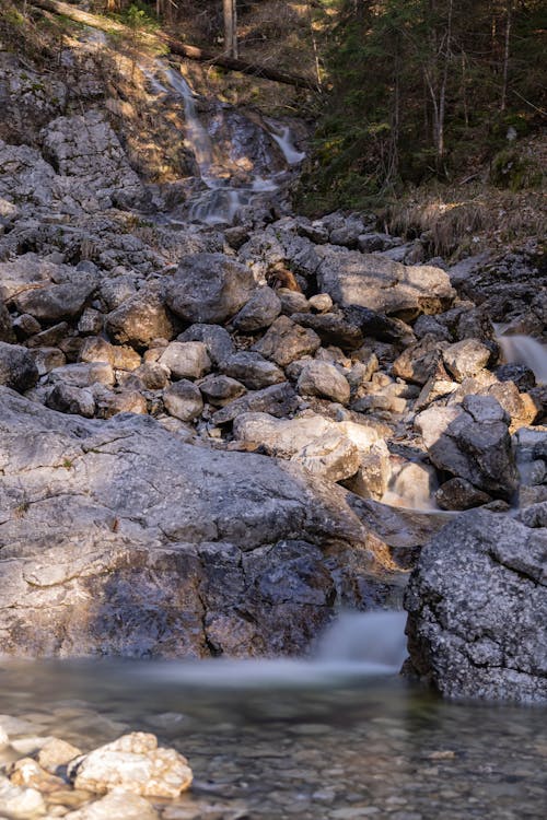 A stream flowing through a rocky area with trees