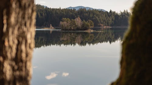 A view of a lake from a rock