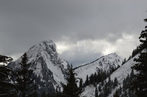 Ingyenes stockfotó erdő a hegyben, hegyvonulatok, hófödte hegyek témában