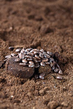 Chicken, ground, with additives, raw