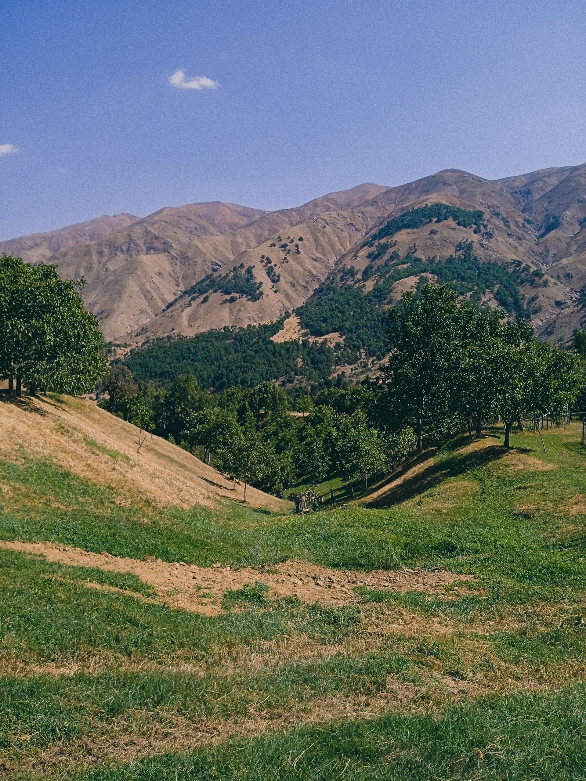 Green Hillside Near Mountain · Free Stock Photo