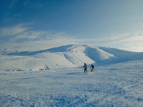 Foto d'estoc gratuïta de aventura, blanc, constipat