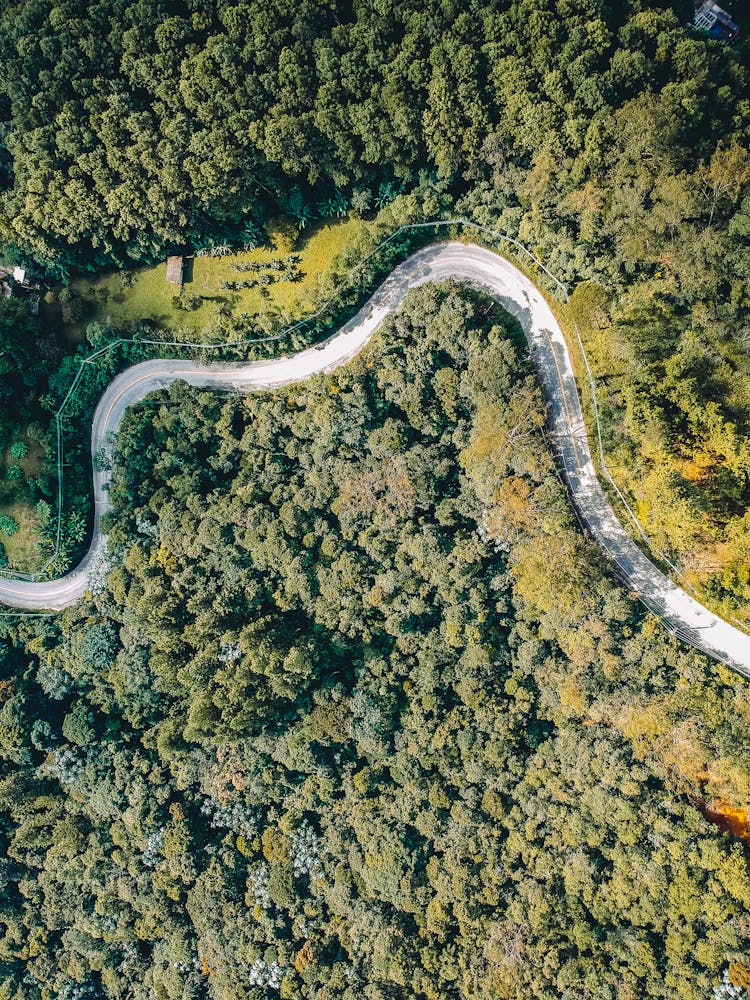 Aerial Photography Of Road And Tree Field