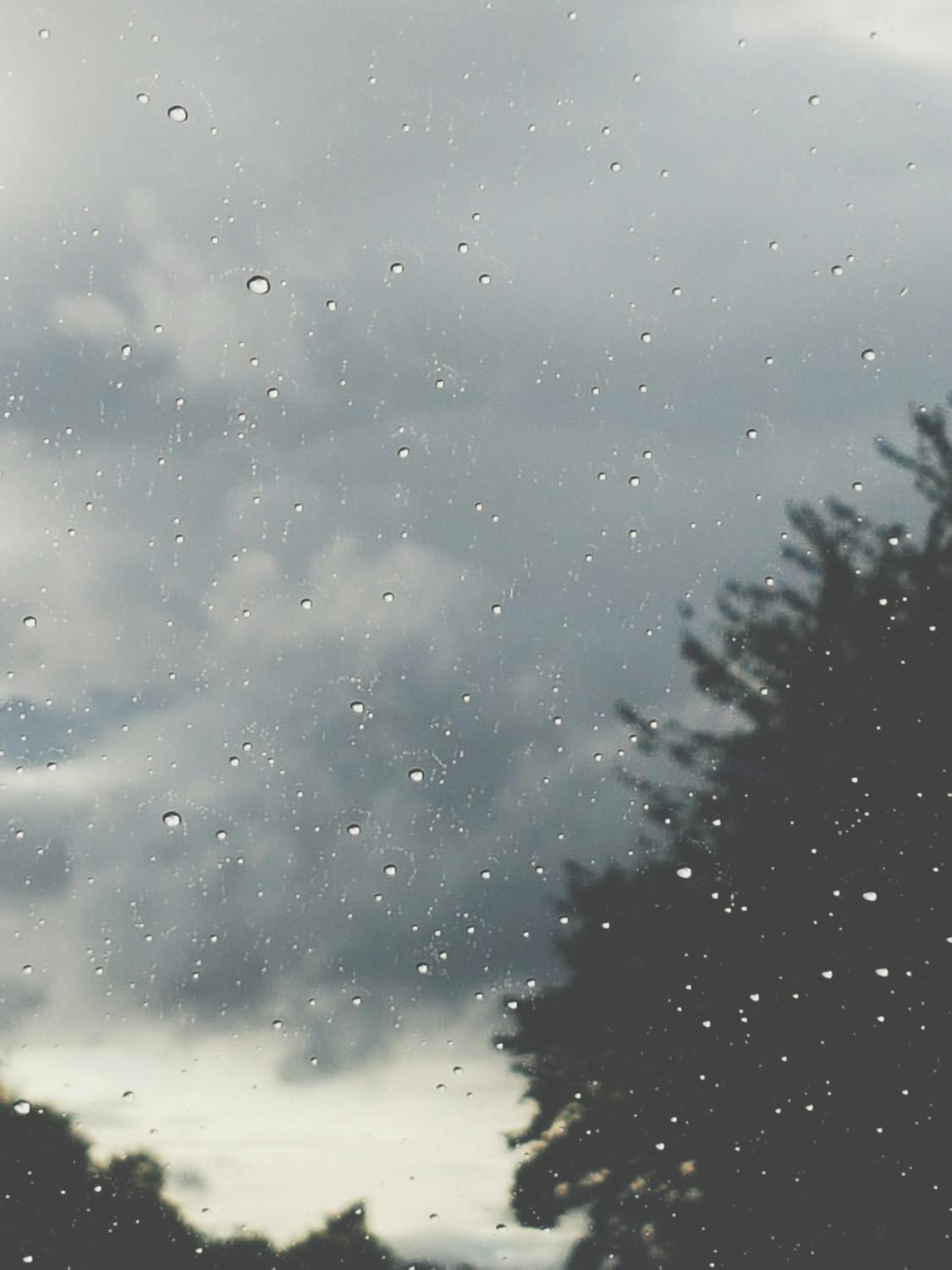 Free stock photo of car window, rain, rain drops