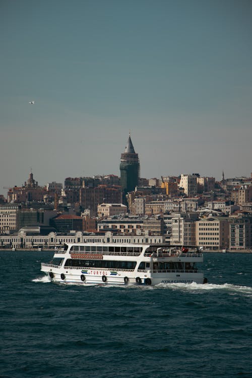 イスタンブール, シティ, フェリーの無料の写真素材