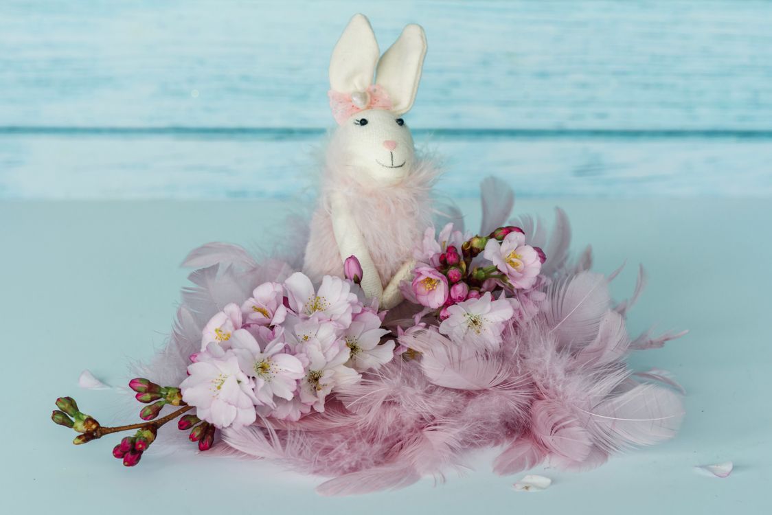 Feather Rabbitears A white rabbit sitting on a pink feather and flowers · Free Stock Photo