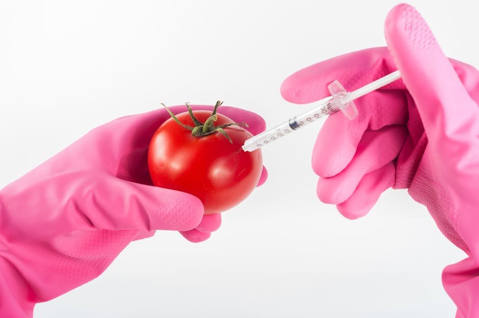 Person Injection Red Tomato