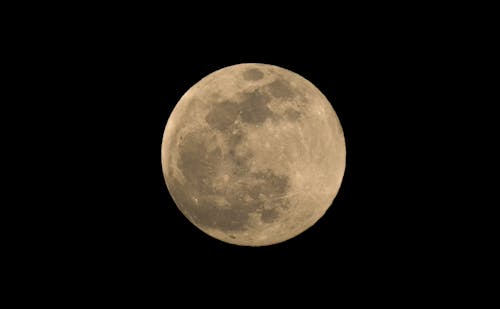 Full Moon. 41° F, feels like 30° F, wind gusts up to 22 mpg.  7:42 pm. March 24, 2024. Darien, CT