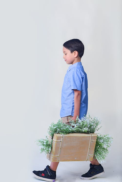 Photos gratuites de arrière-plan blanc, enfant, fleurs blanches