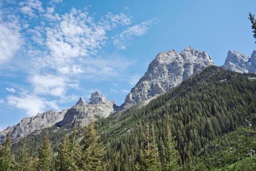 Free The grand teton mountains are seen in this photo Stock Photo