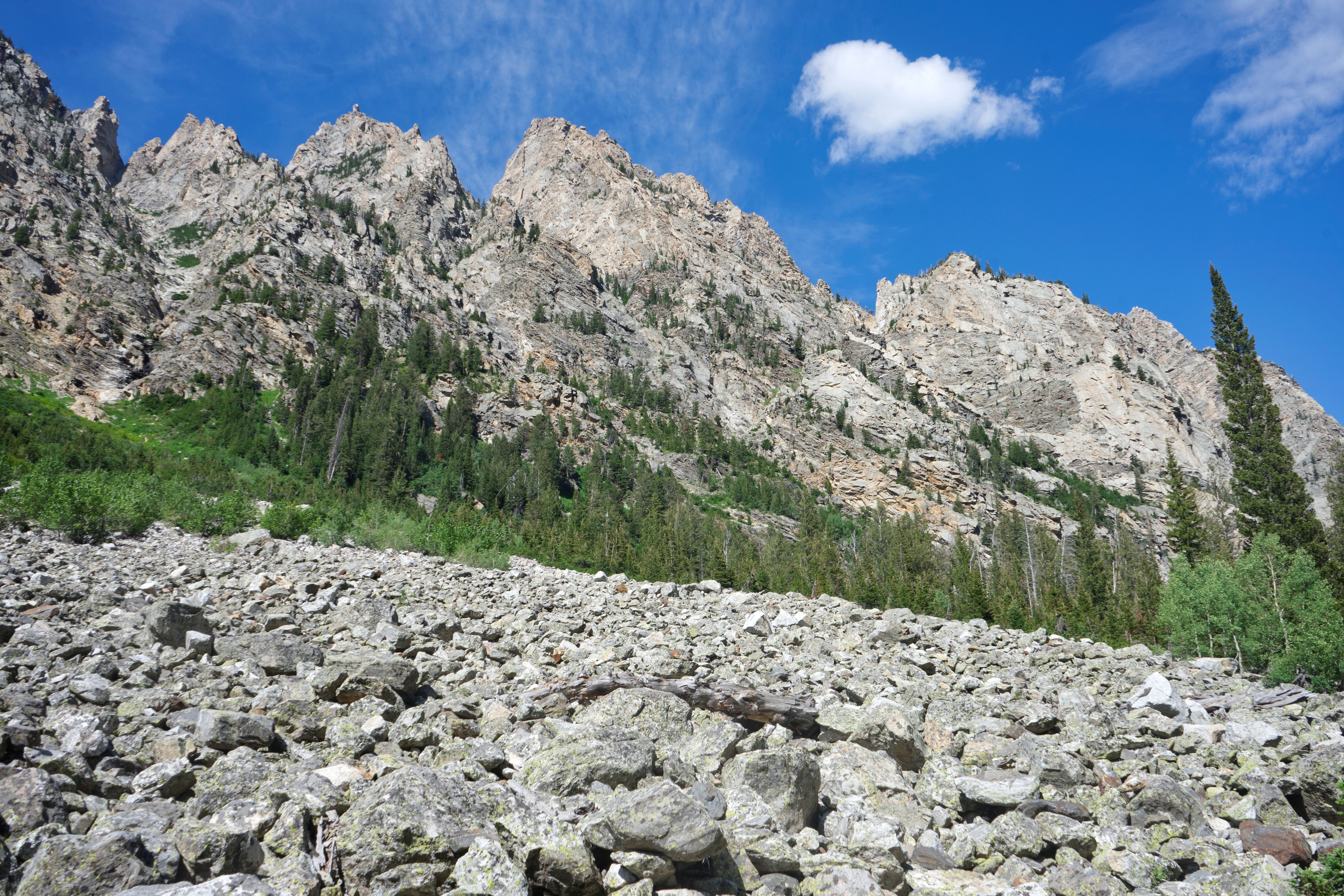 Cascade Canyon Grand Teton mountains