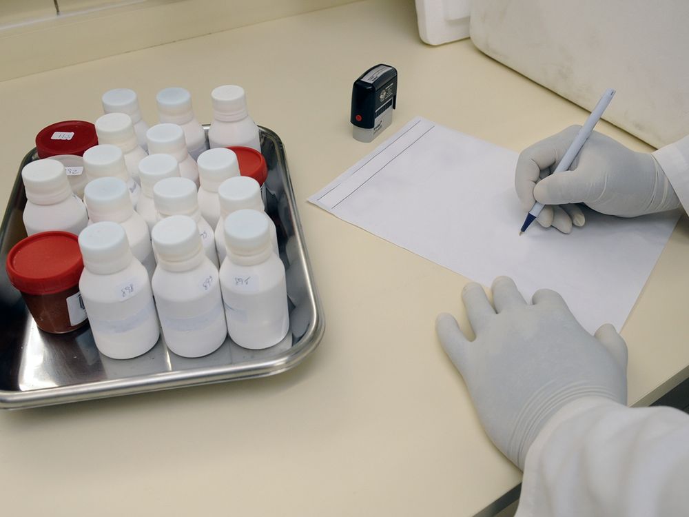 A technician recording results in a medical laboratory
