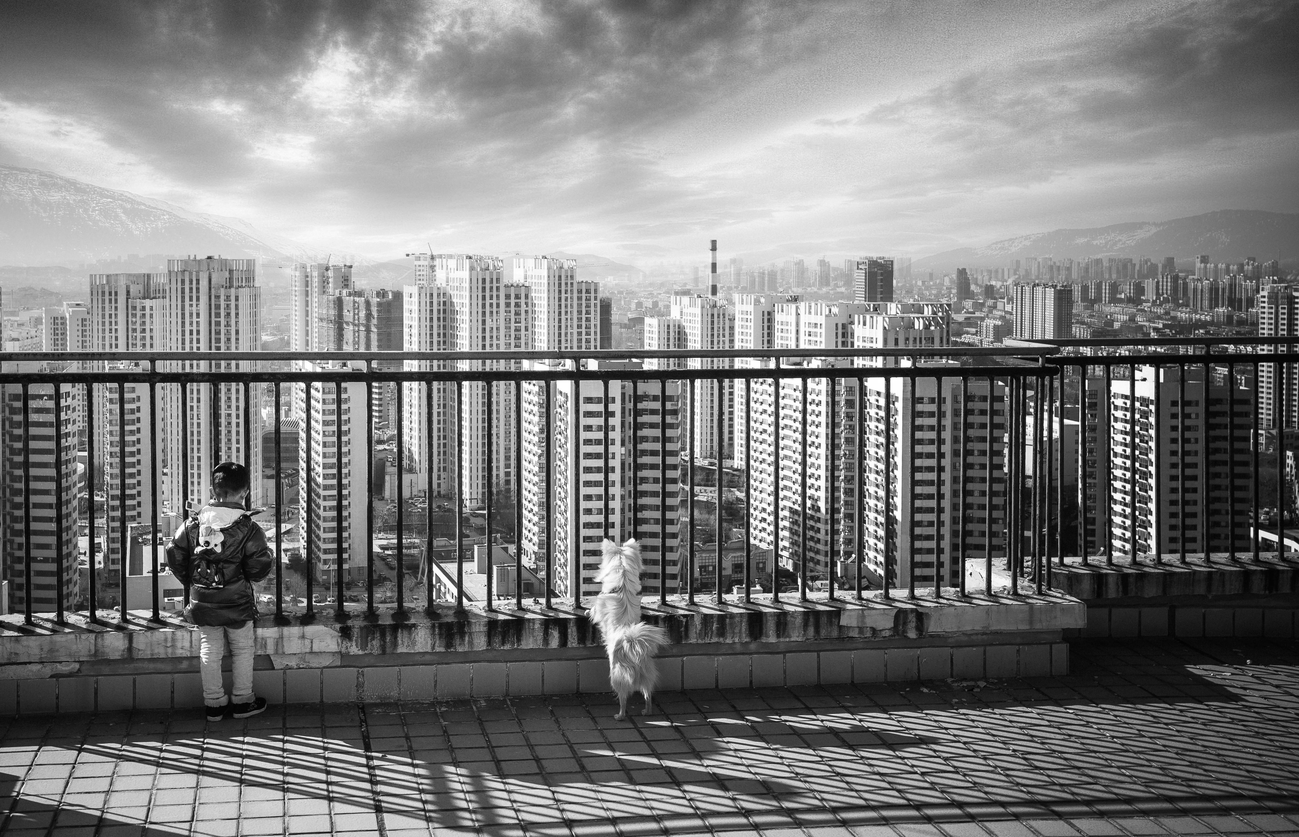 A child and dog gaze at a cityscape from a high-rise balcony.