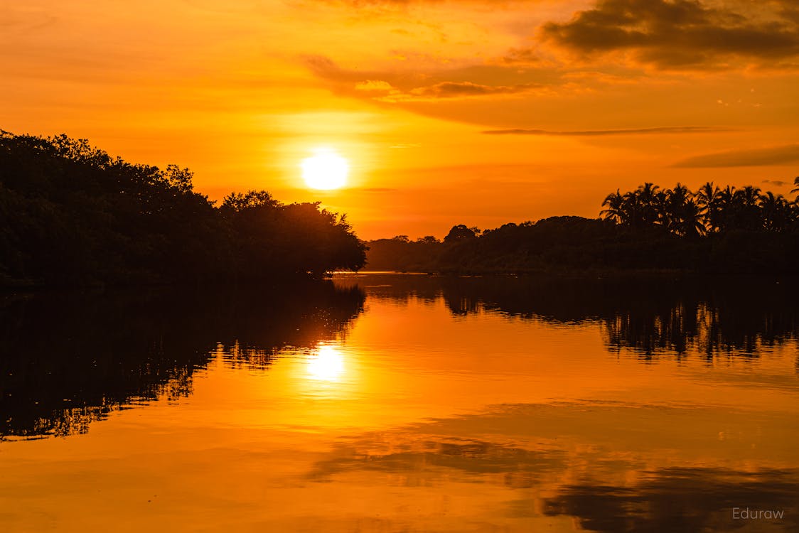 atardecer, 側面, 光 的 免费素材图片