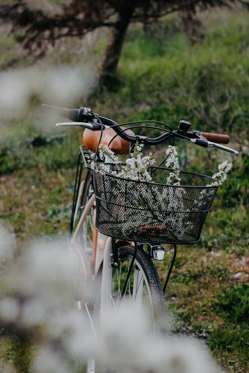 Imagine de stoc gratuită din arc, bicicletă, coș