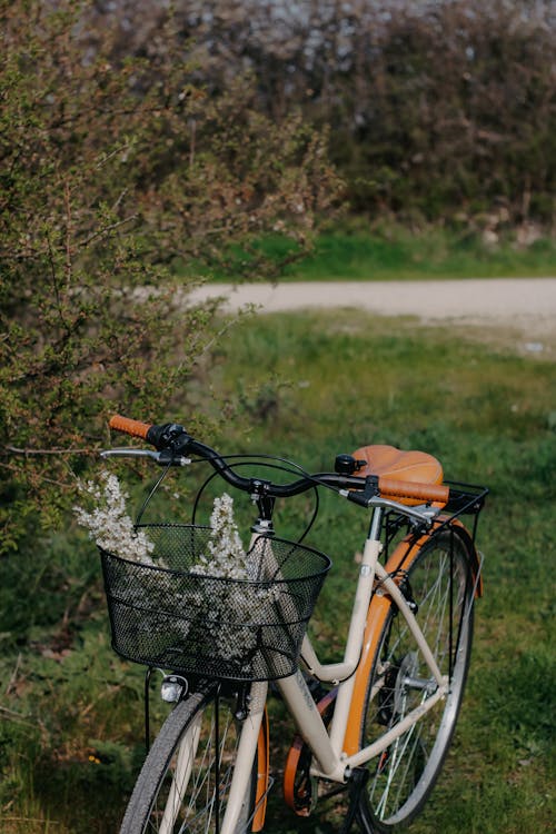 Imagine de stoc gratuită din agrement, așezat, bicicletă
