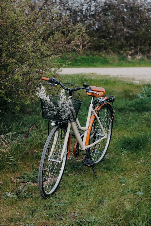 Gratis stockfoto met avontuur, biker, buitenshuis