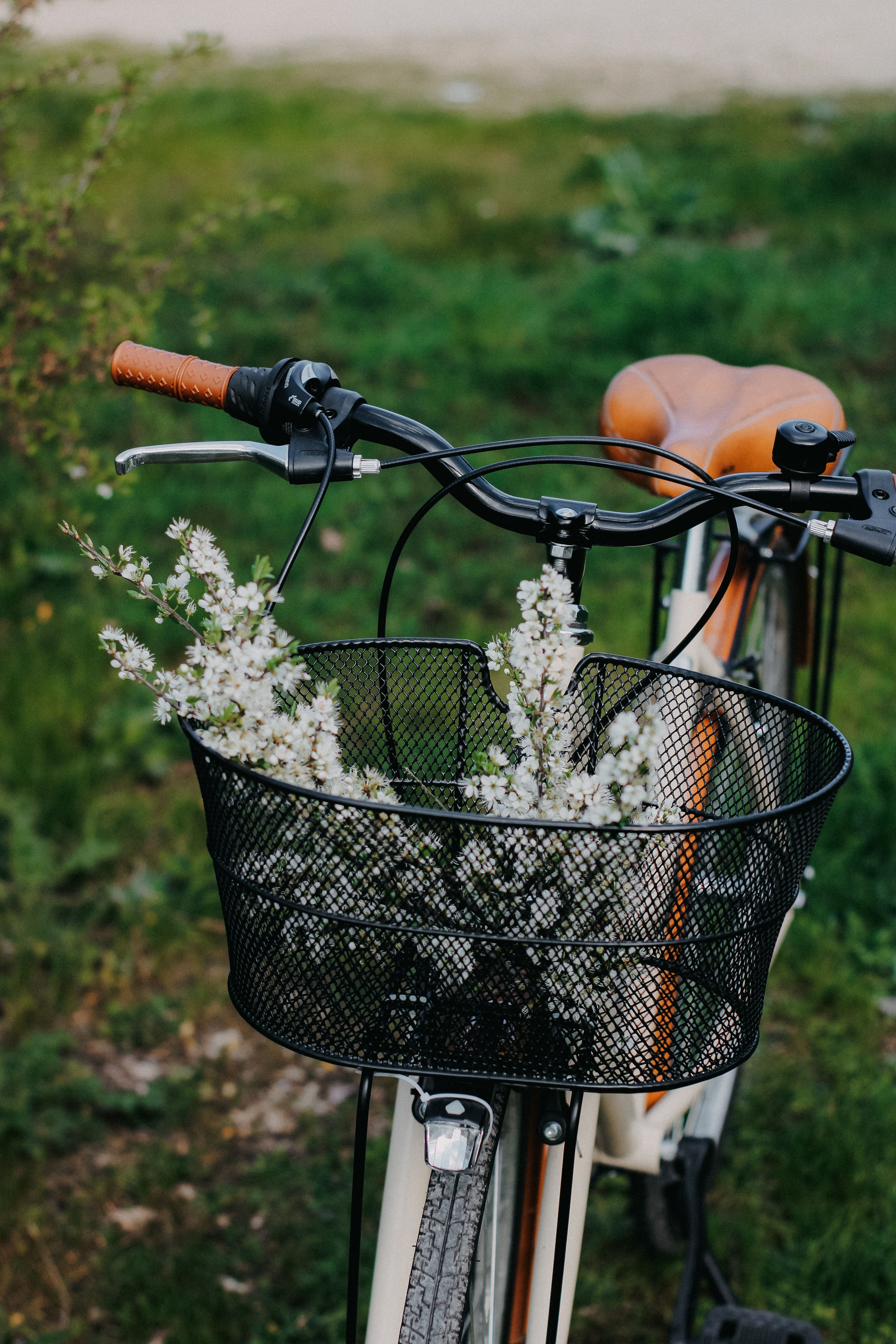 A bicycle with white flowers in its basket stands in a lush green meadow, symbolizing spring.
