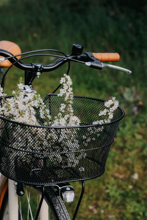 垂直拍攝, 春天, 自行車 的 免費圖庫相片