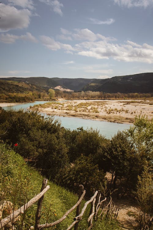 Immagine gratuita di alberi, campagna, colline