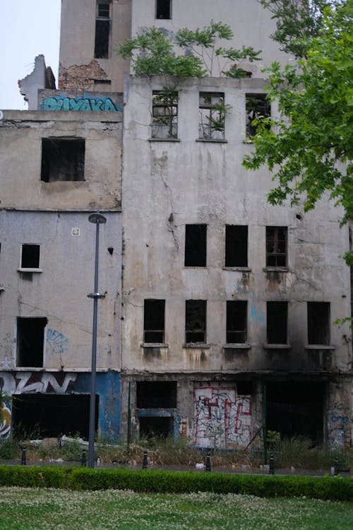 A building with graffiti on it and a tree in the background