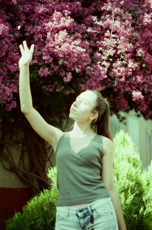 Foto profissional grátis de árvore florida, braço levantado, de pé