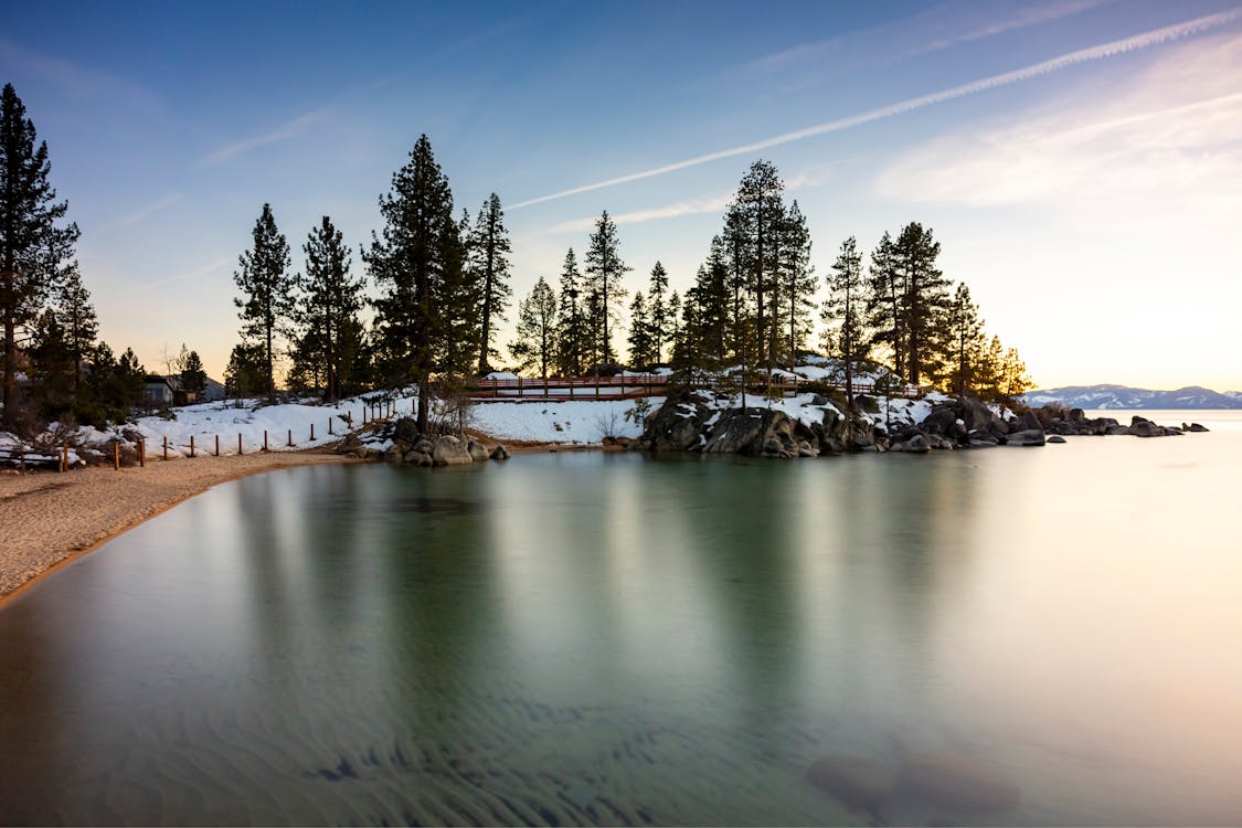 Бесплатное стоковое фото с деревья, достопримечательность, зима