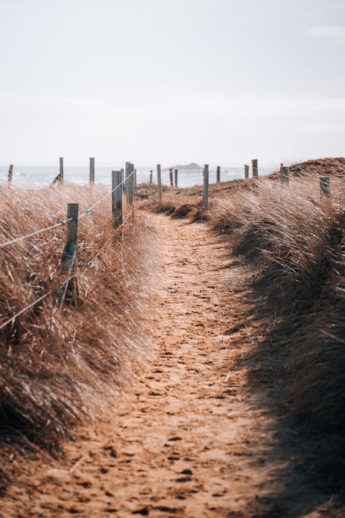 Бесплатное стоковое фото с bretagne, quiberon, randonnã © е