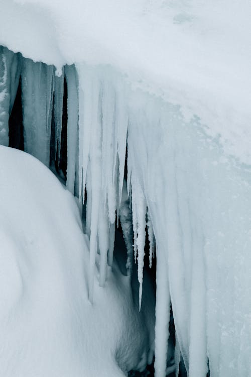 Photos gratuites de climat polaire, fermer, froid