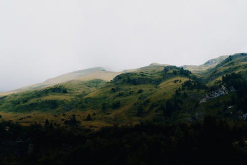 A mountain range with green grass and trees