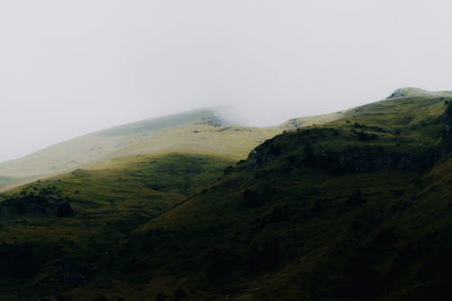 A person is walking on a hillside in the fog