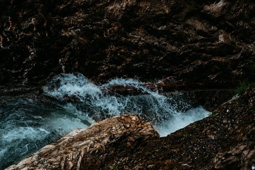 岩石的, 岸邊, 水 的 免費圖庫相片