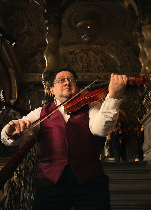 Fotobanka s bezplatnými fotkami na tému Budapešť, dospelý, hrať husle