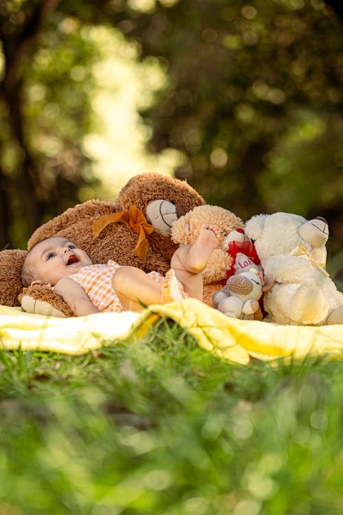 Free A baby laying on a blanket with teddy bears Stock Photo