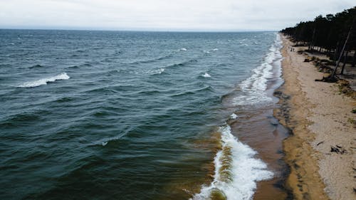 dalgalar, deniz, deniz kıyısı içeren Ücretsiz stok fotoğraf